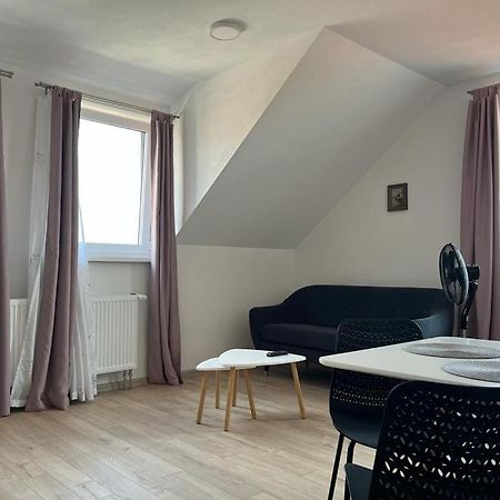 Sabina Apartaments Sfantu Gheorghe  Luaran gambar