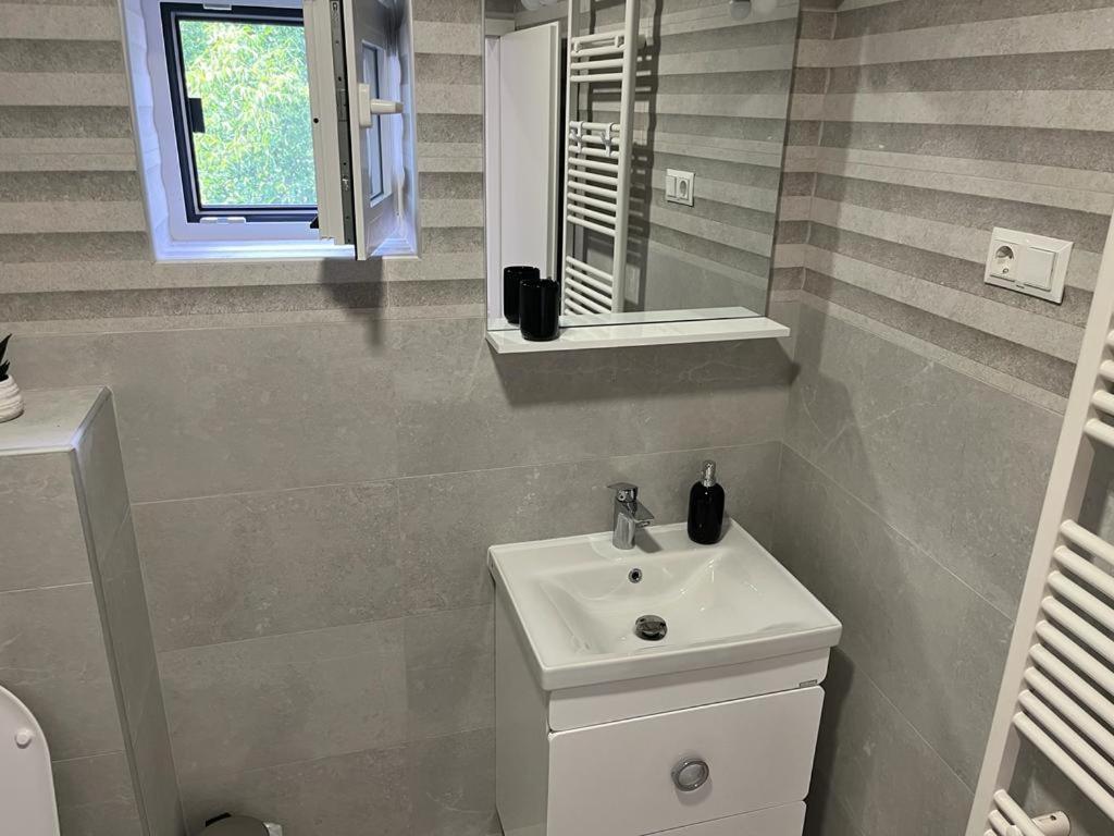 Sabina Apartaments Sfantu Gheorghe  Luaran gambar