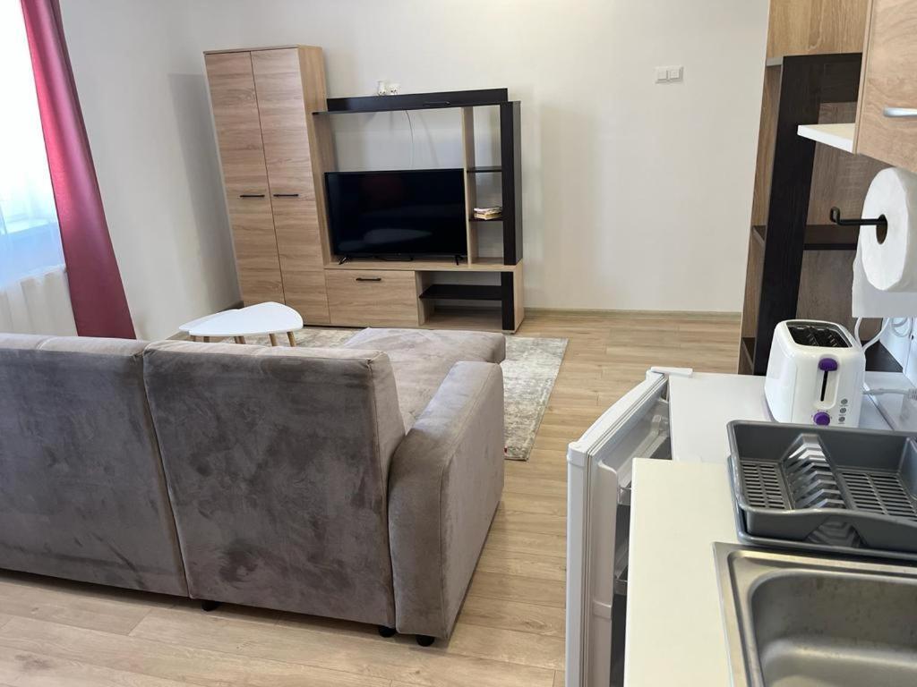 Sabina Apartaments Sfantu Gheorghe  Luaran gambar