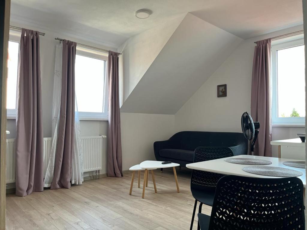 Sabina Apartaments Sfantu Gheorghe  Luaran gambar