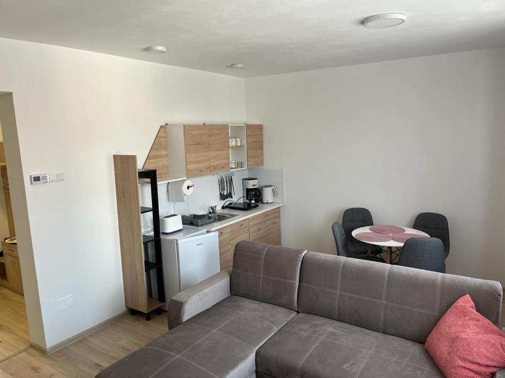 Sabina Apartaments Sfantu Gheorghe  Luaran gambar