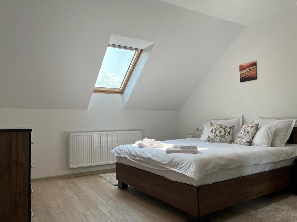 Sabina Apartaments Sfantu Gheorghe  Luaran gambar