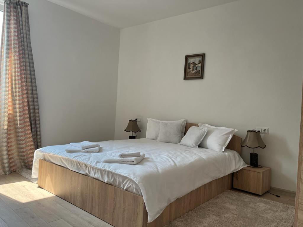 Sabina Apartaments Sfantu Gheorghe  Luaran gambar