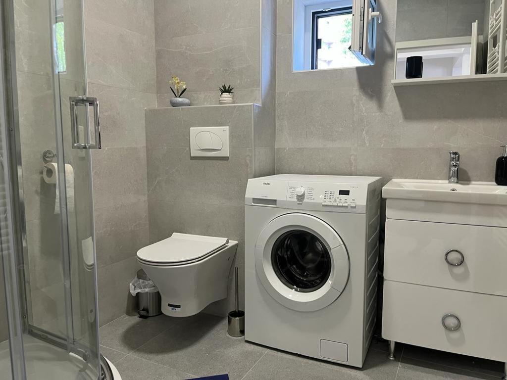Sabina Apartaments Sfantu Gheorghe  Luaran gambar
