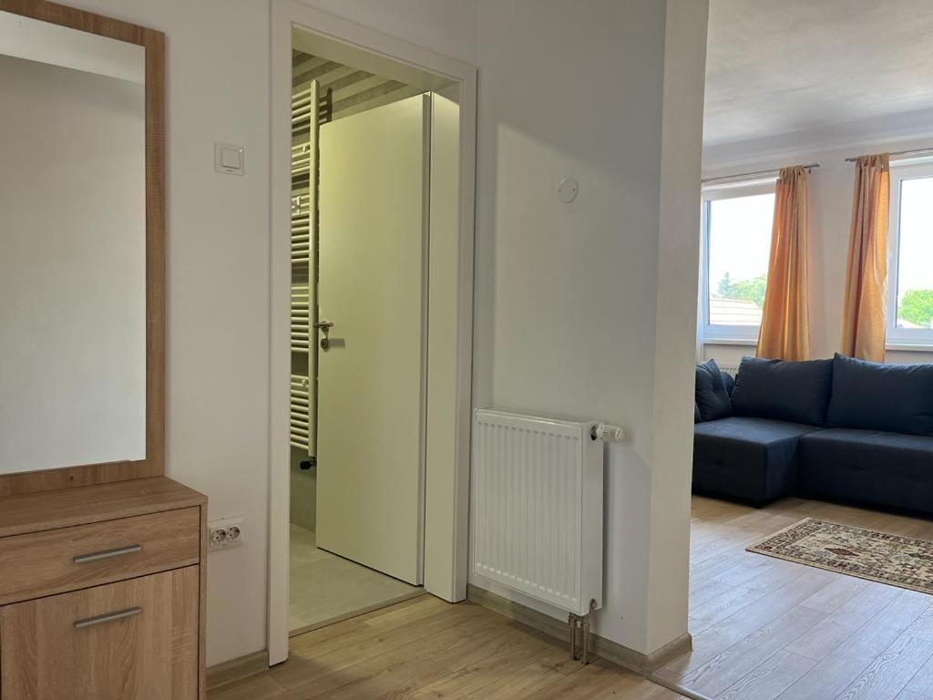 Sabina Apartaments Sfantu Gheorghe  Luaran gambar