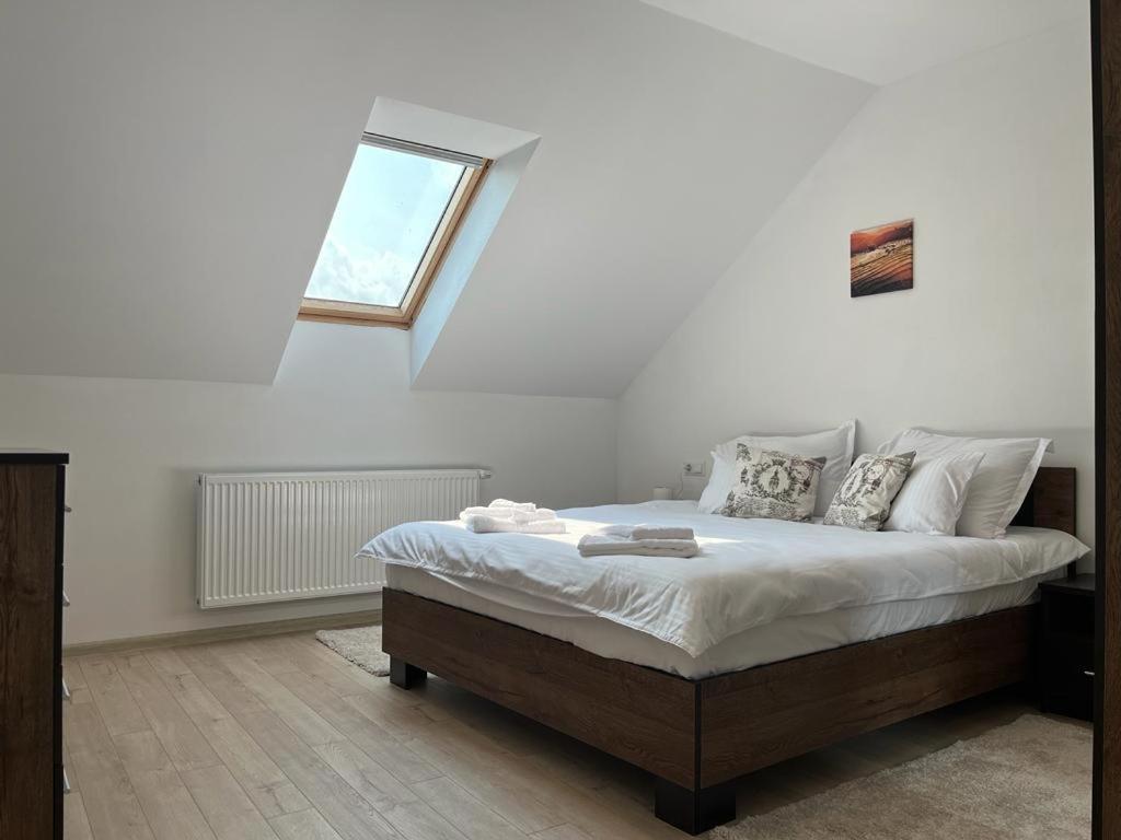 Sabina Apartaments Sfantu Gheorghe  Luaran gambar