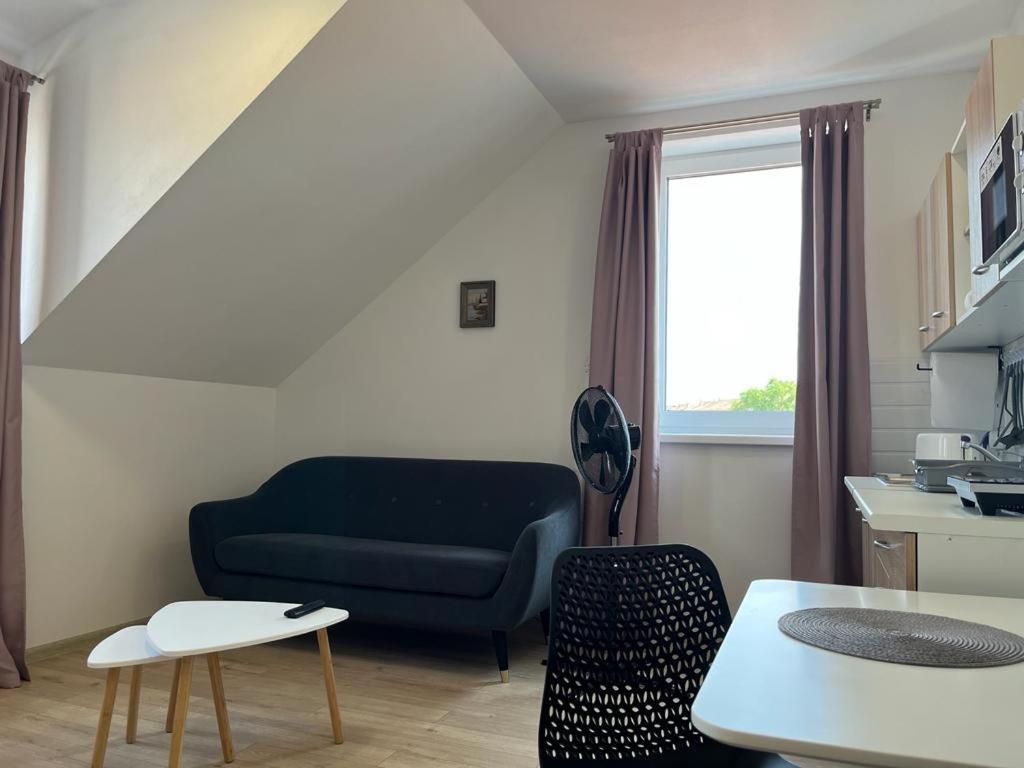 Sabina Apartaments Sfantu Gheorghe  Luaran gambar