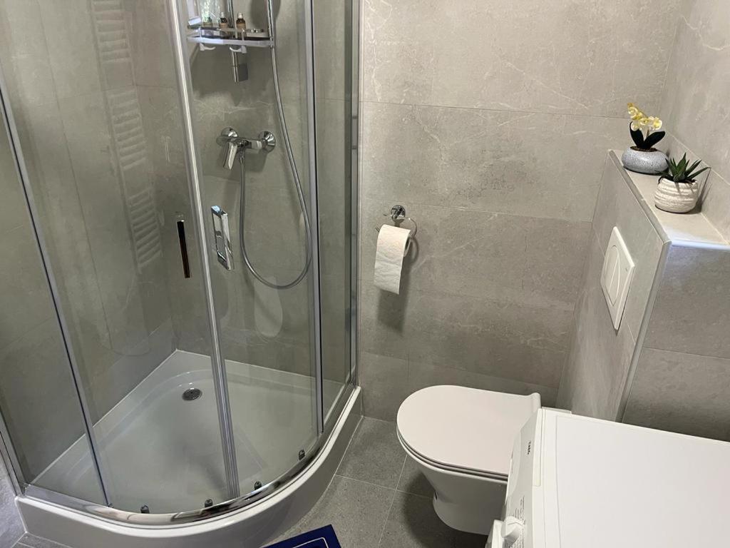 Sabina Apartaments Sfantu Gheorghe  Luaran gambar