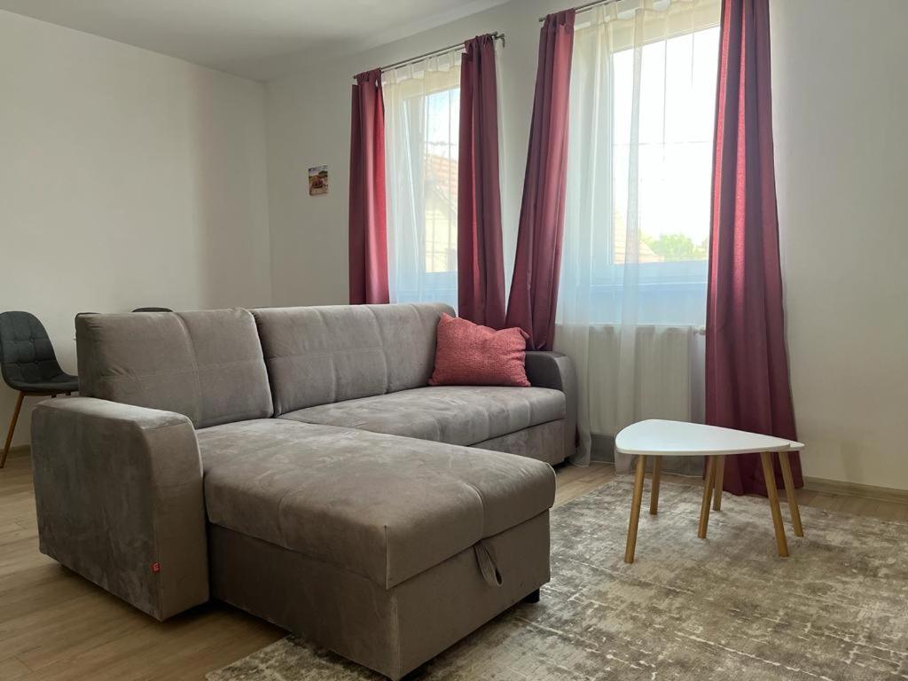 Sabina Apartaments Sfantu Gheorghe  Luaran gambar
