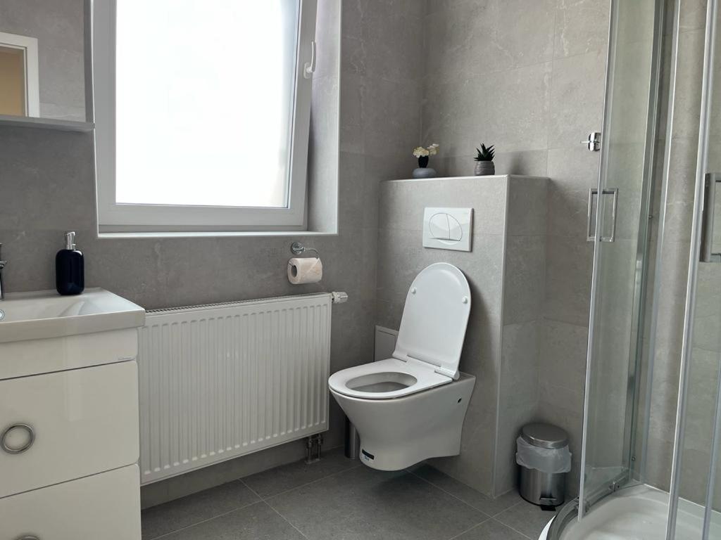 Sabina Apartaments Sfantu Gheorghe  Luaran gambar